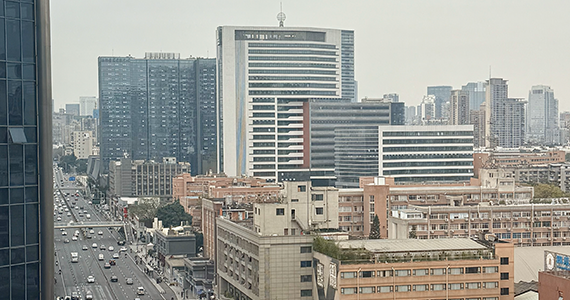 免费的网站域名查询app