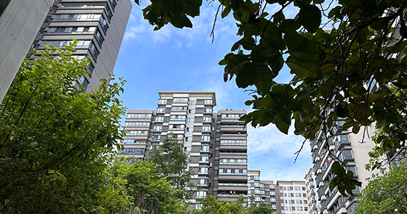 App 如何查询它的域名服务器