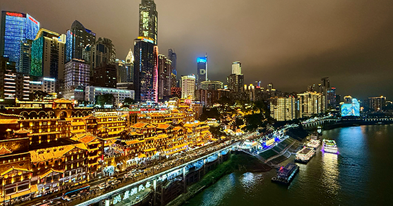 IP域名批量提取查询APP